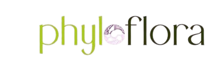 Philopyr