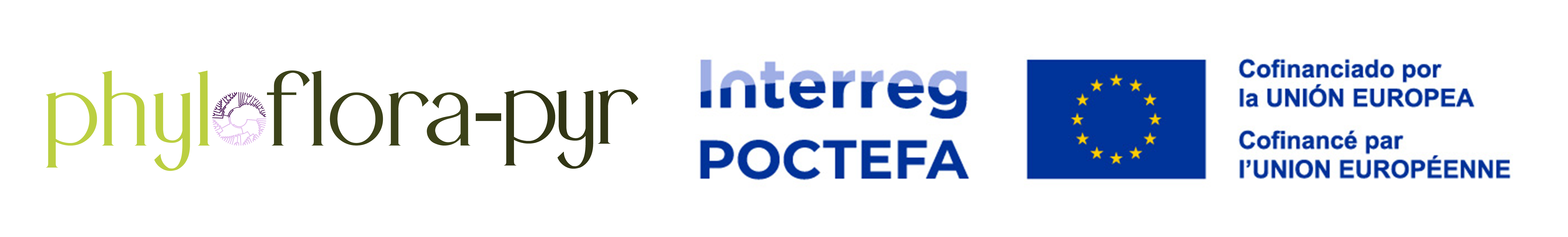 Phyloflorapyr + poctefa