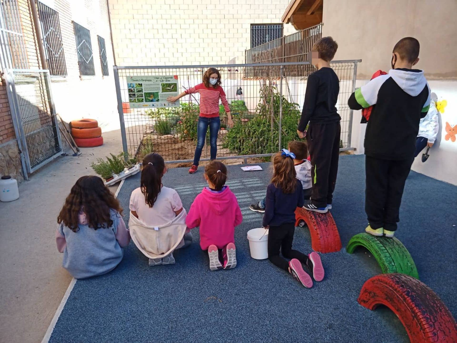 Construyendo un oasis para mariposas.