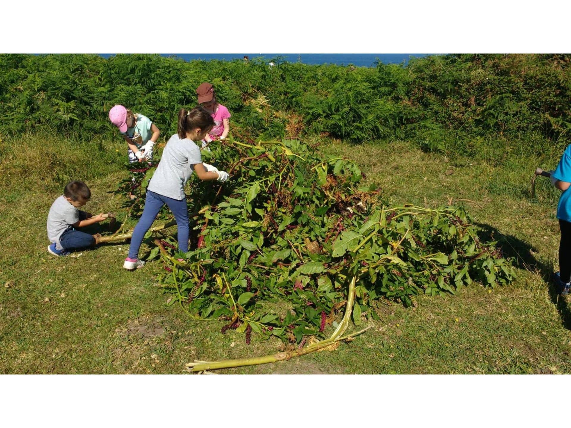 Excursión departamento de Botánica