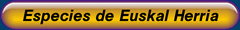 Especies de Euskal Herria