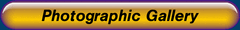 Photographic Gallery