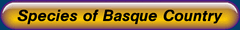Species of Basque Country